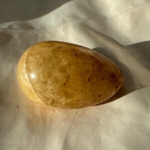 Polished Golden Healer Egg ☀️🌟